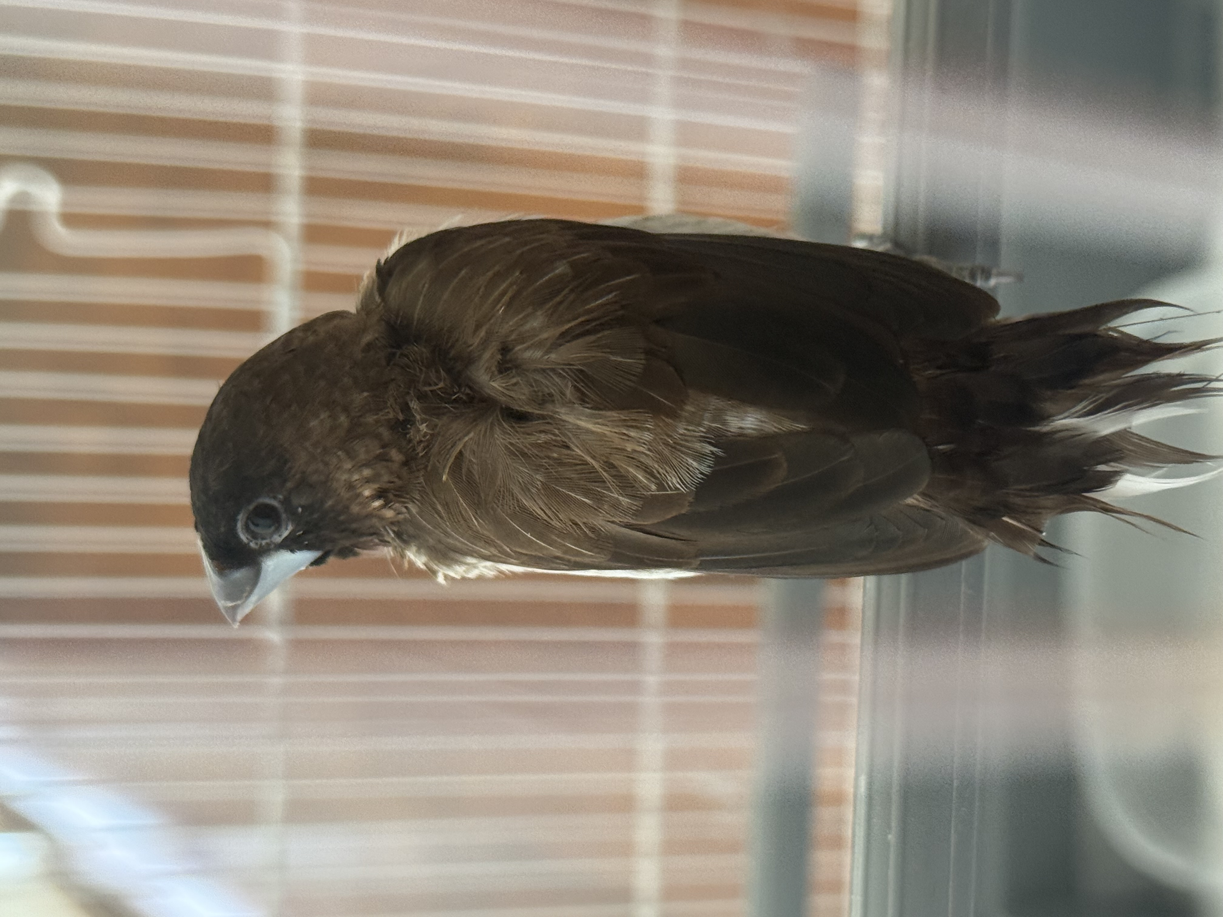 IMG_1763.jpeg