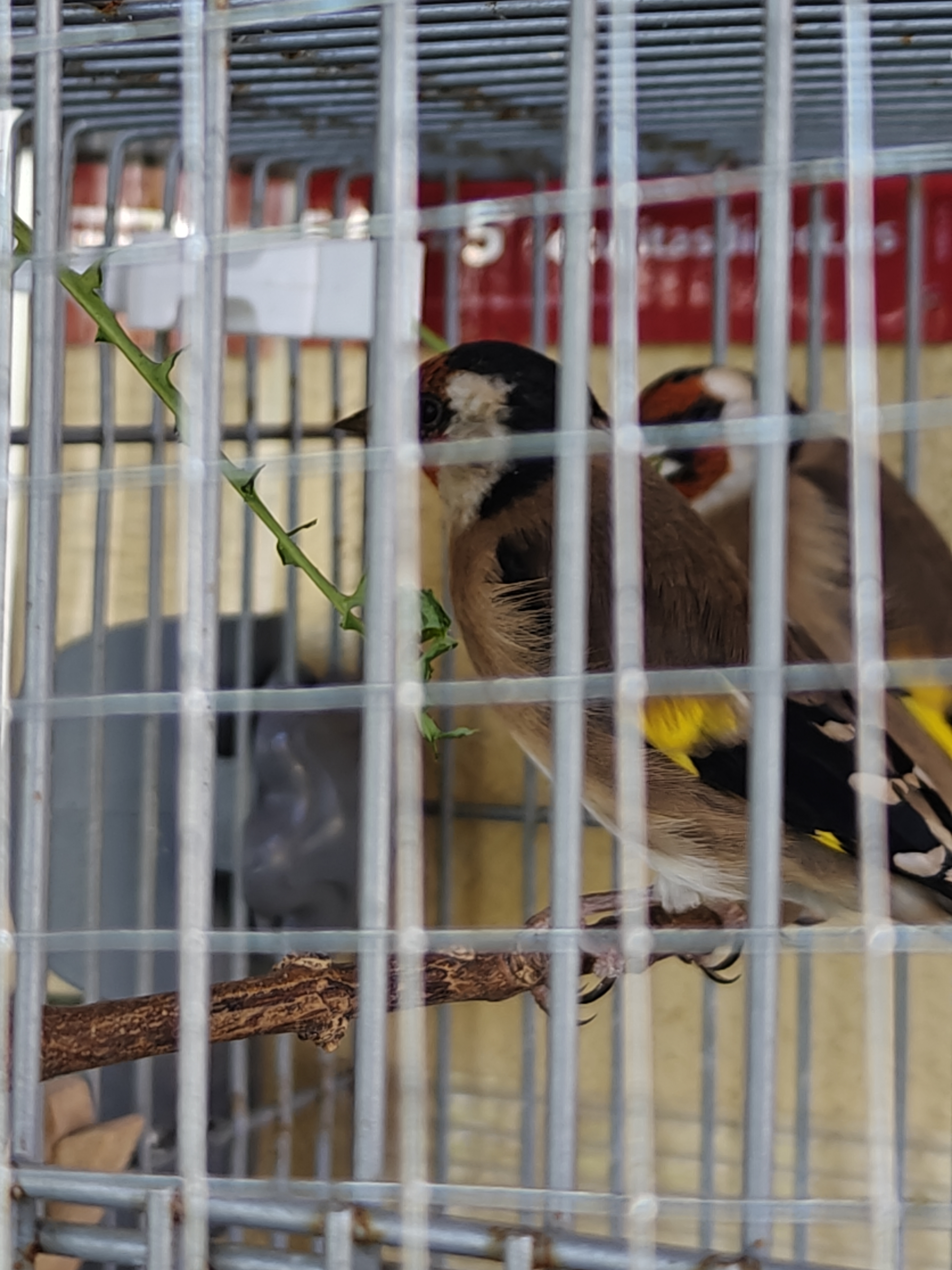 IMG20251009150315.jpg