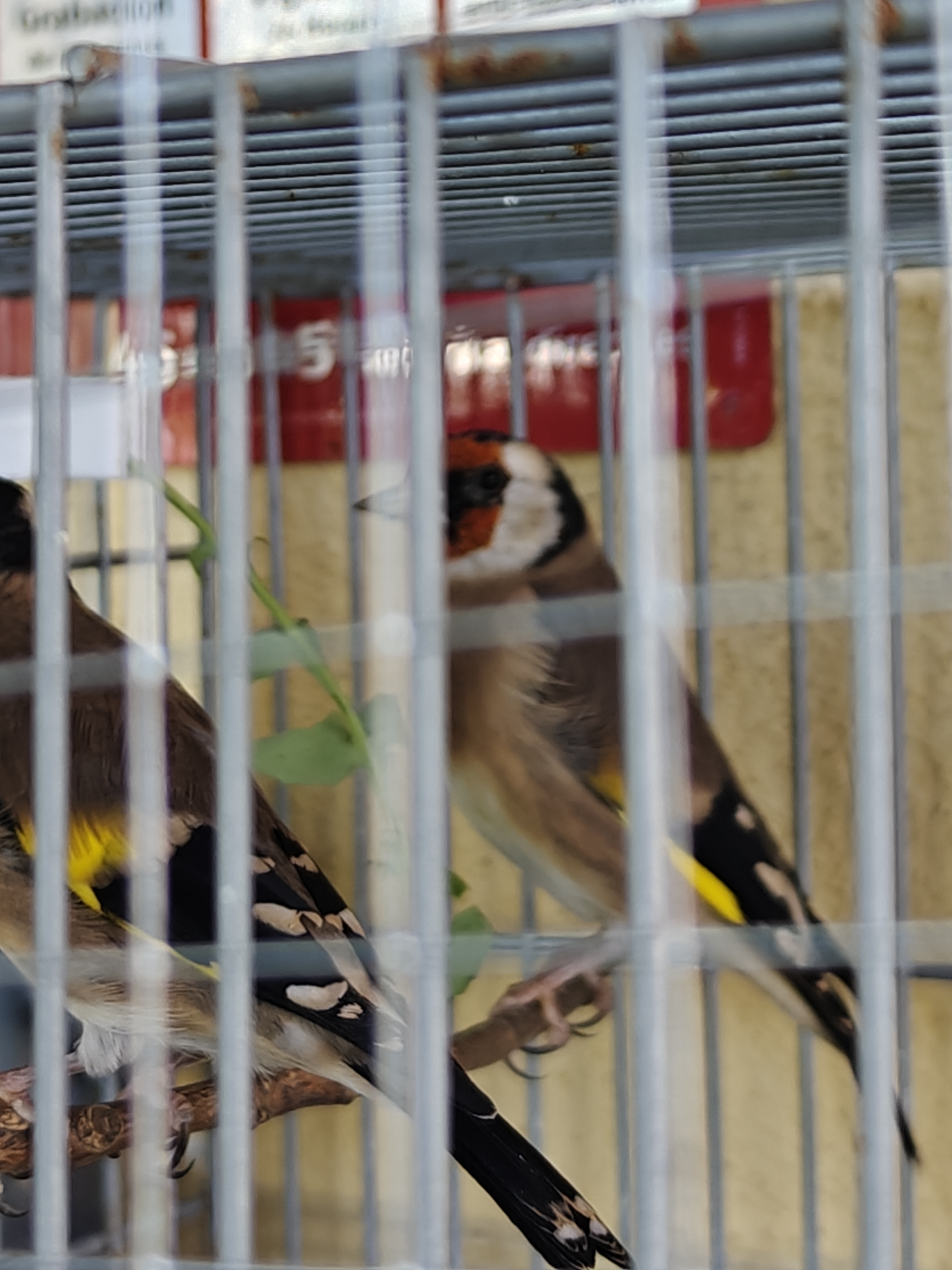 IMG20251009150300.jpg