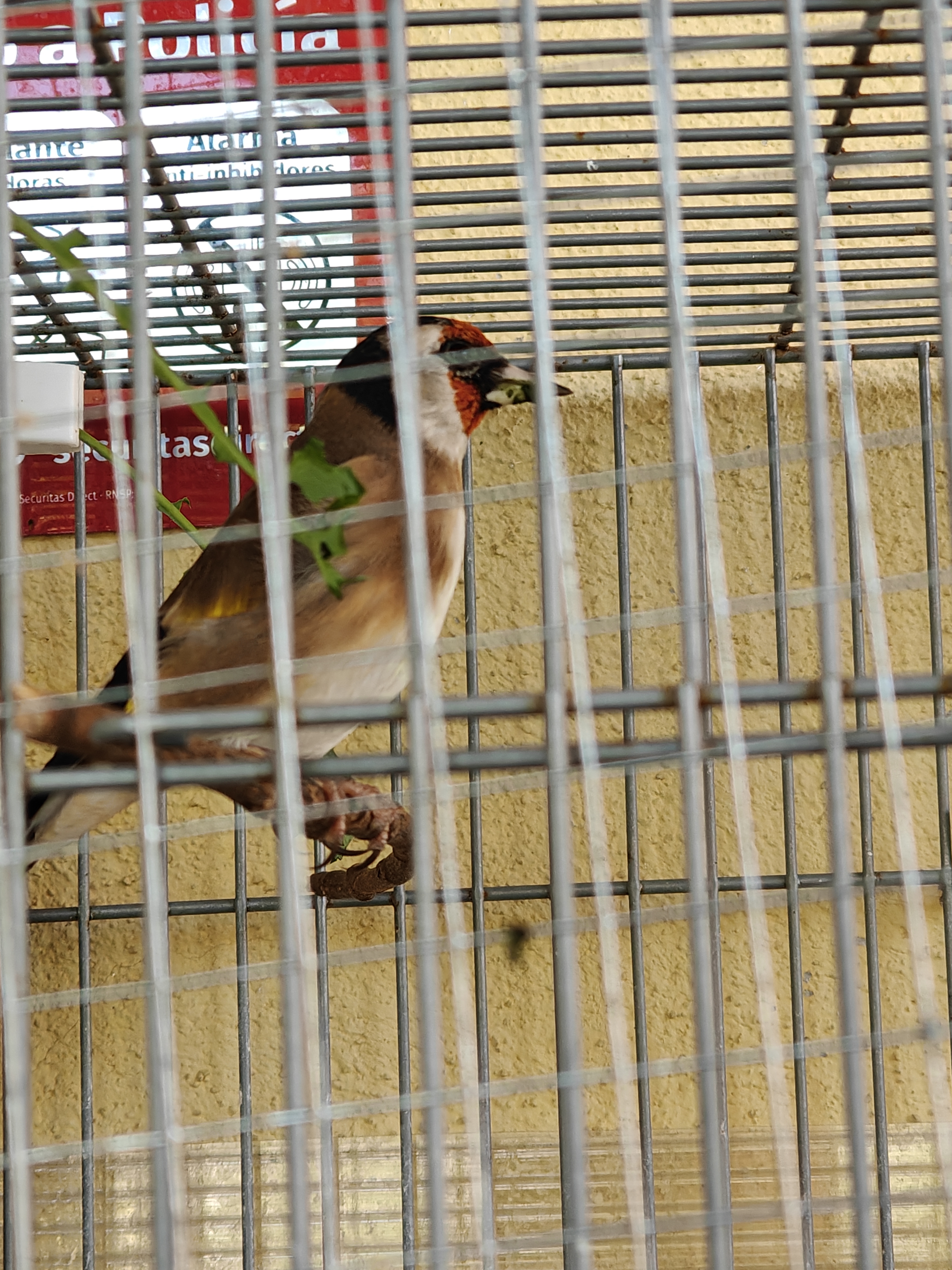 IMG20251009150229.jpg