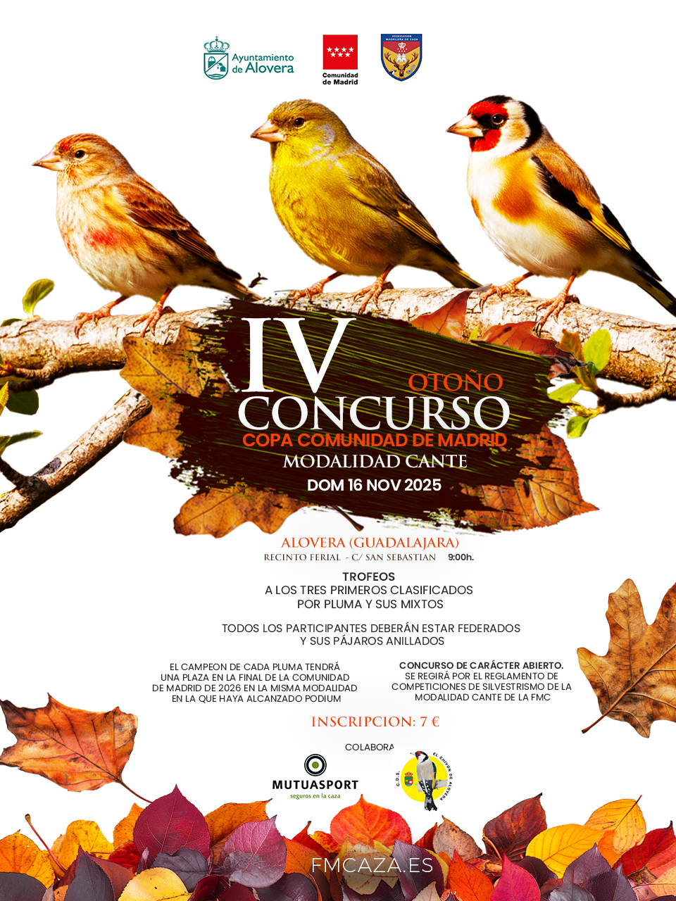 CAMBIO DE UBICACION Cartel-IV-Copa-Otoño-Silvestrismo-2025.jpg