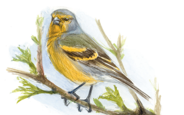 Captura de pantalla 2026-02-11 173900.png