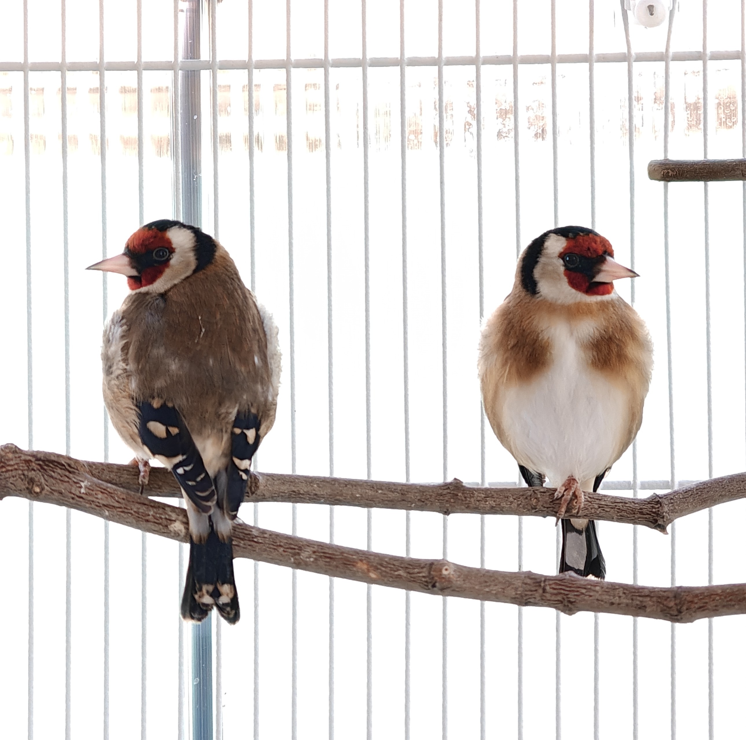 IMG20260316142020 (1).jpg