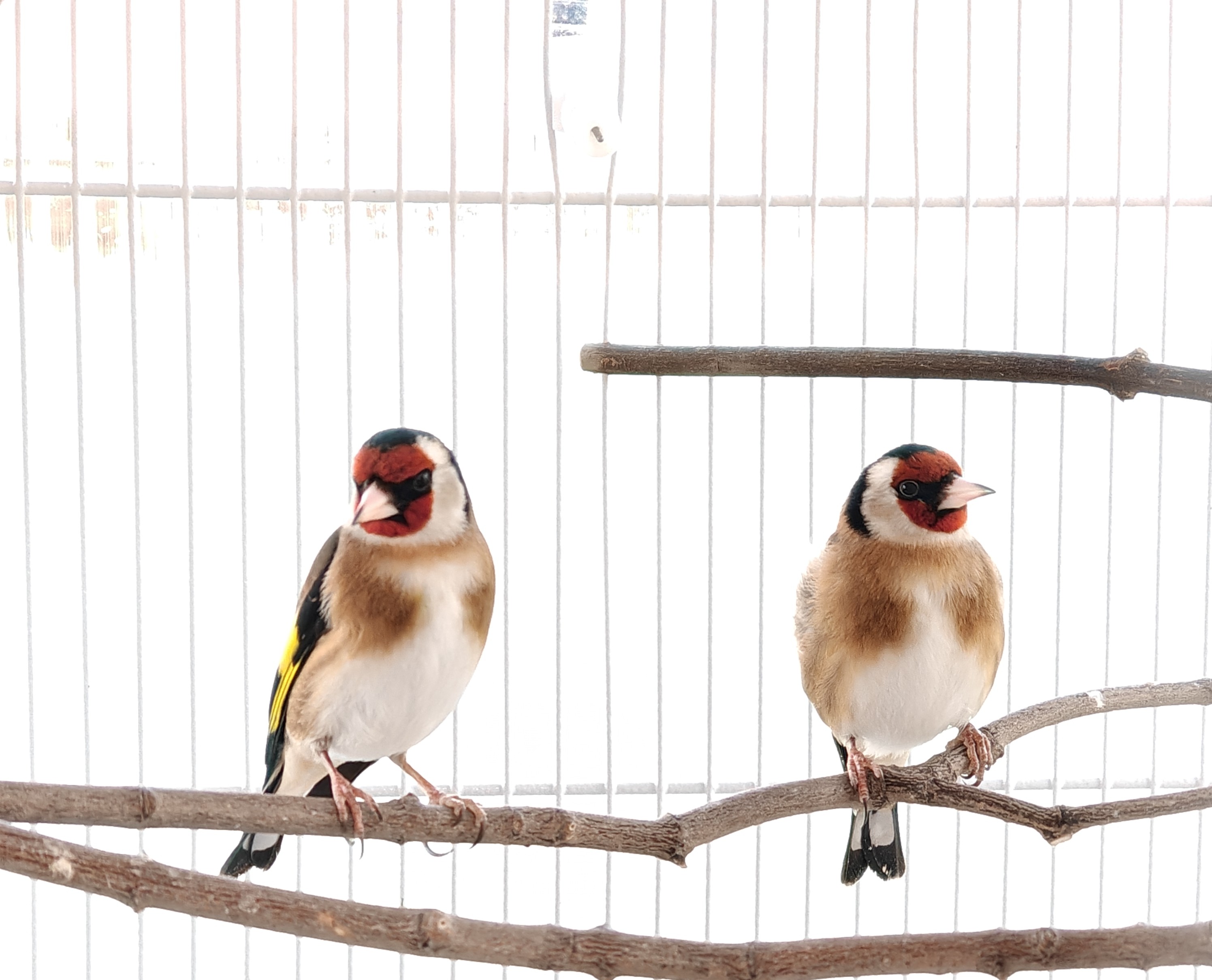 IMG20260316142055 (1).jpg