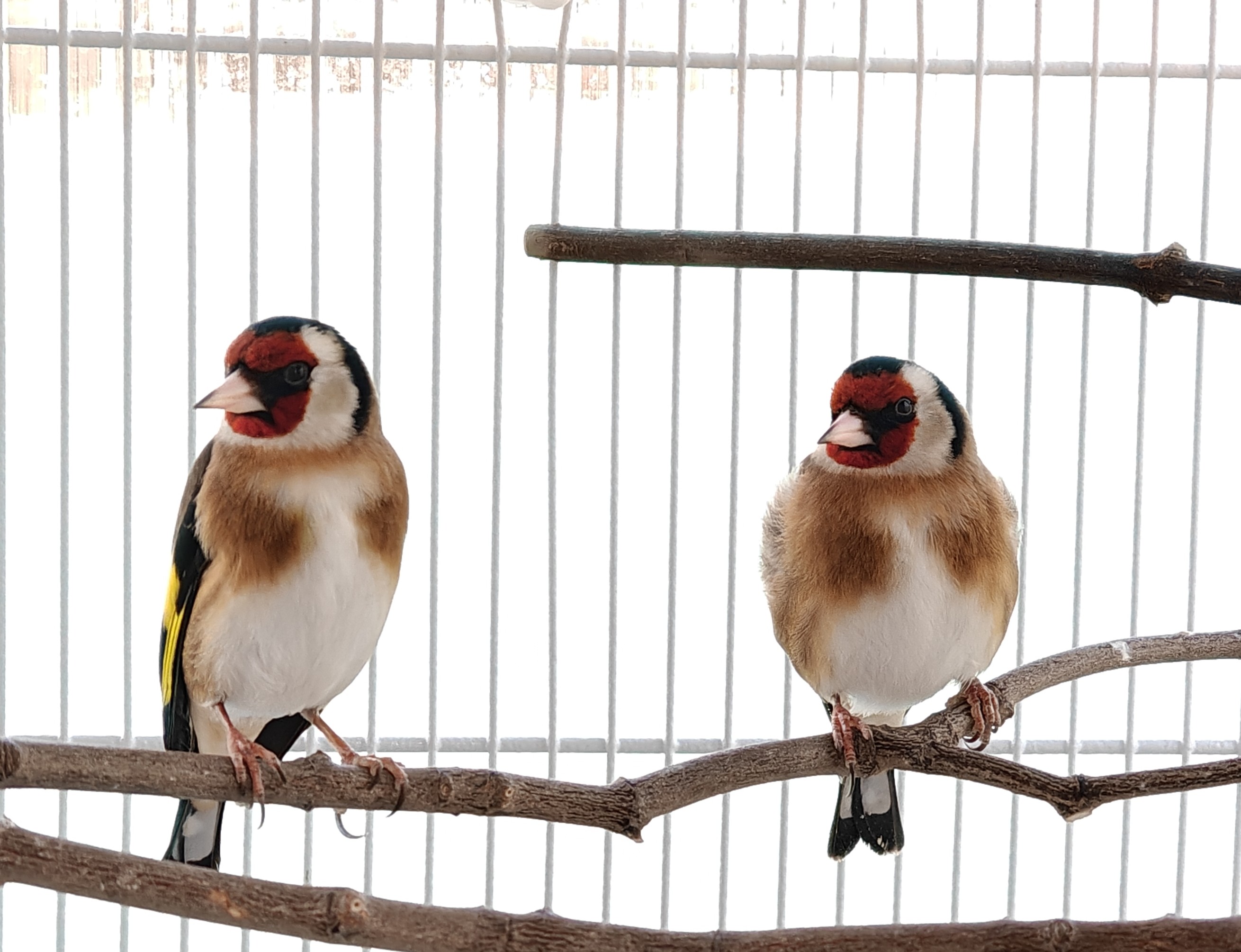 IMG20260316142107 (1).jpg