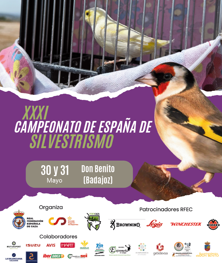Captura de pantalla 2026-04-23 152334.png