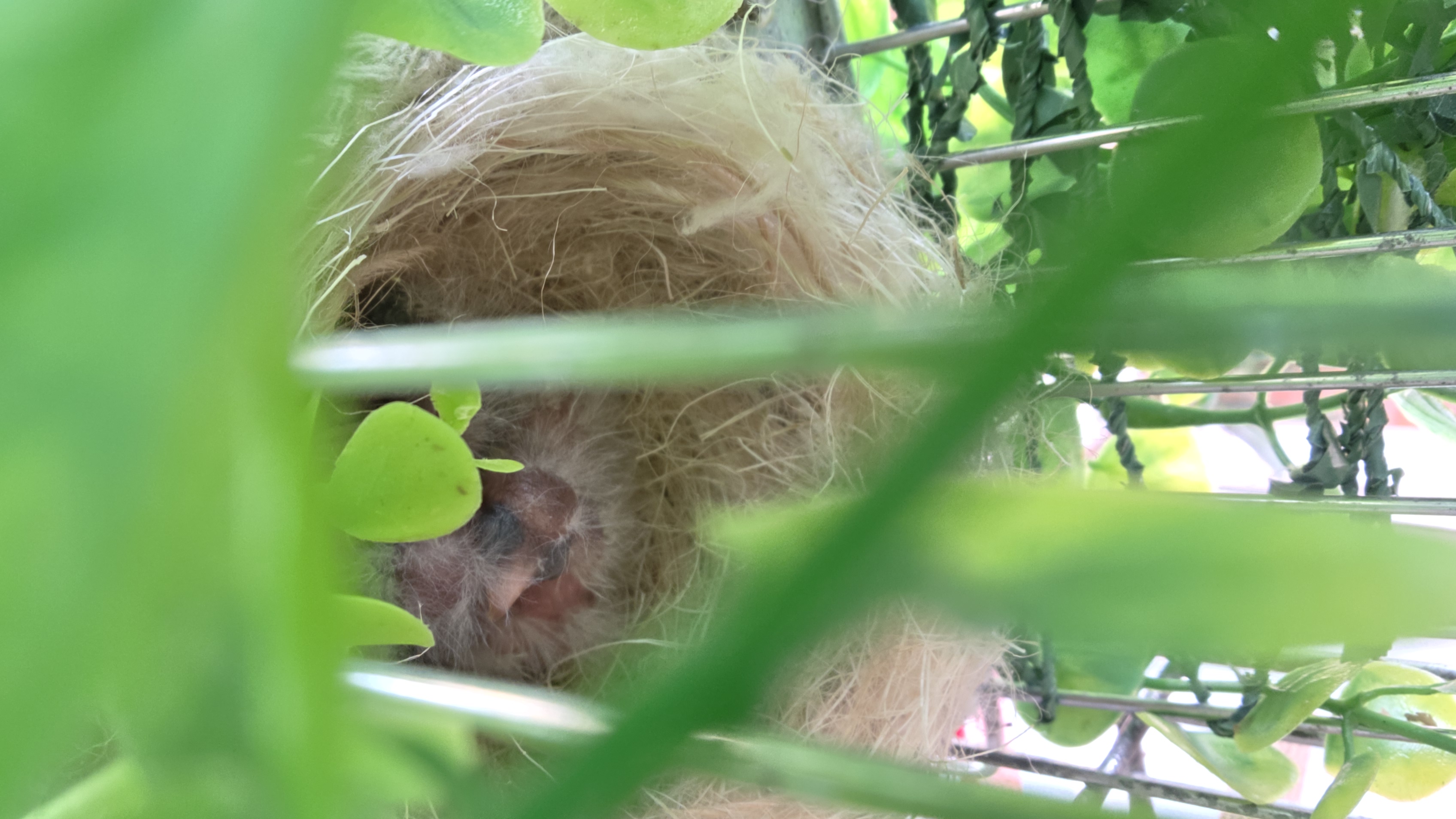 20260606_171743.jpg