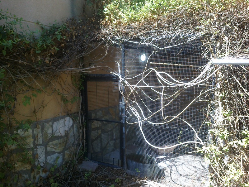 12092011064.jpg