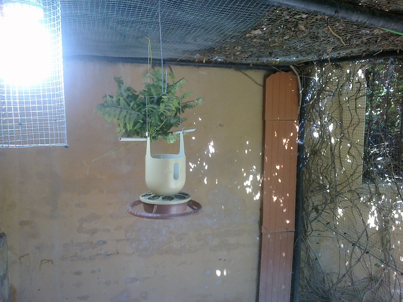 12092011067.jpg