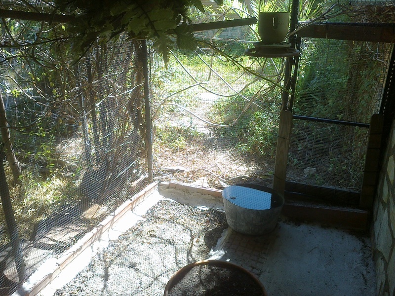 12092011069.jpg