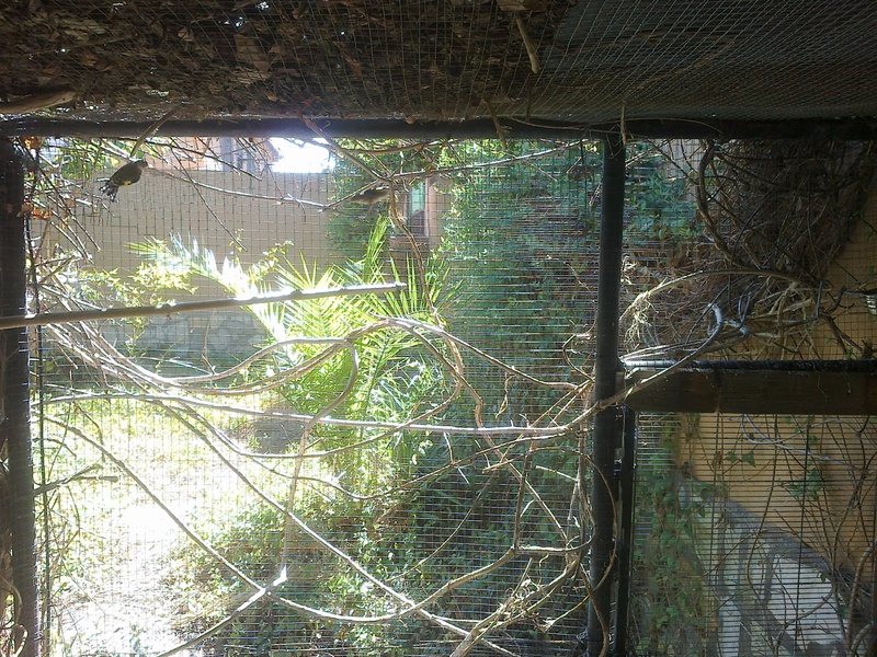 12092011071.jpg