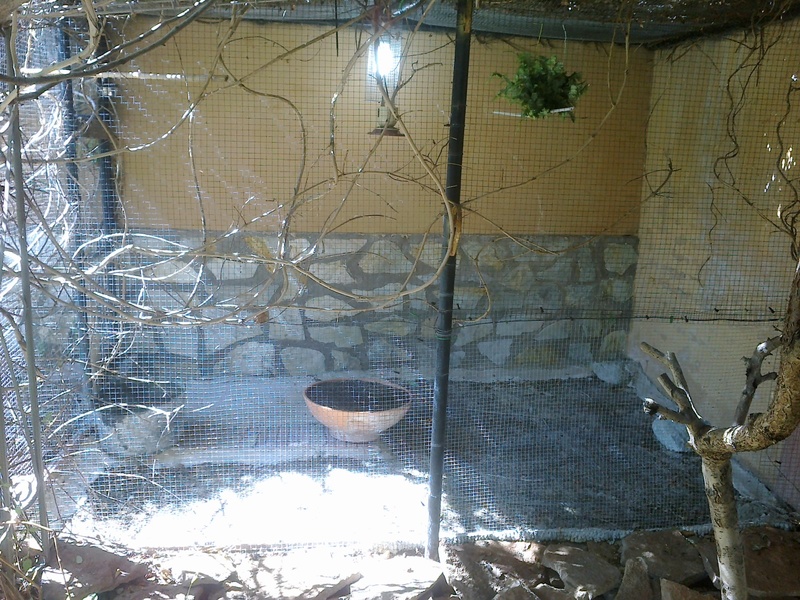 12092011072.jpg