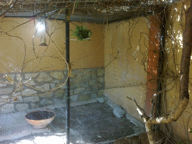 12092011073.jpg