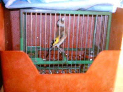 IMAG0210.JPG