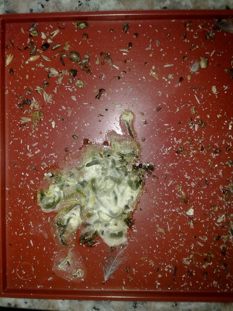 15092011435.jpg
