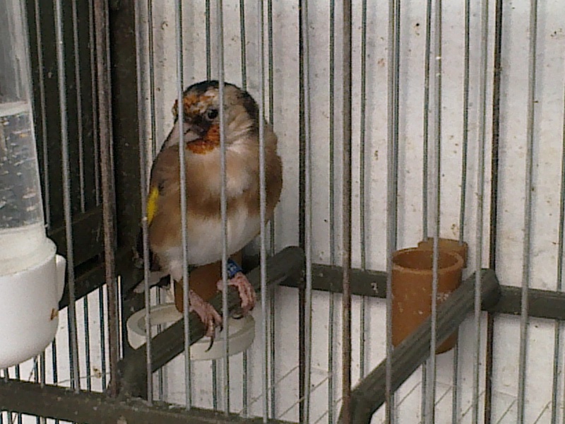 r10.jpg