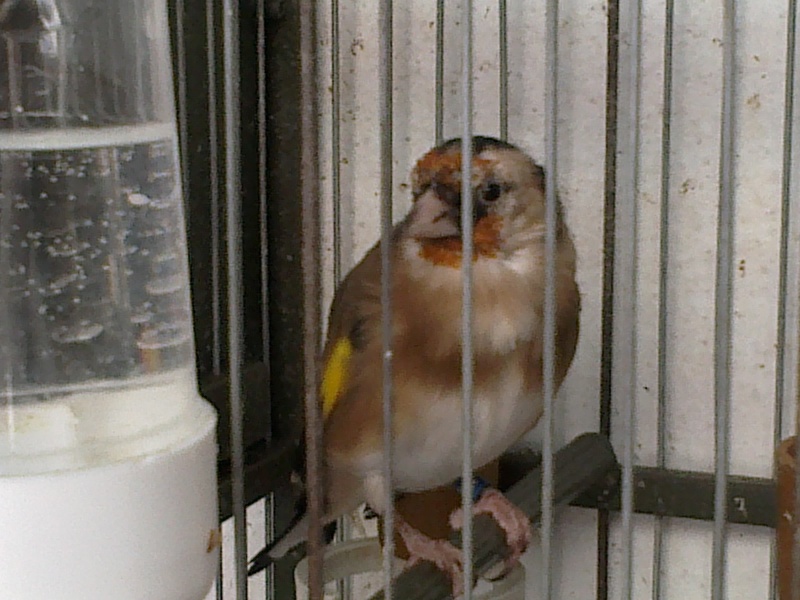 r11.jpg