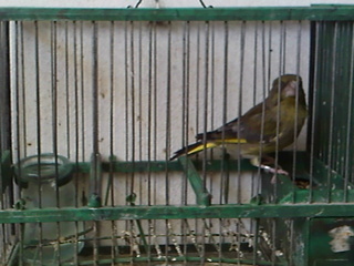 IMG102.jpg