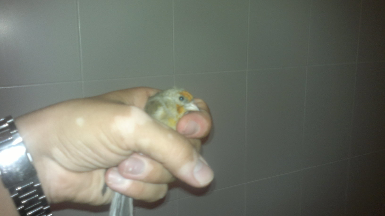 26092011011.jpg