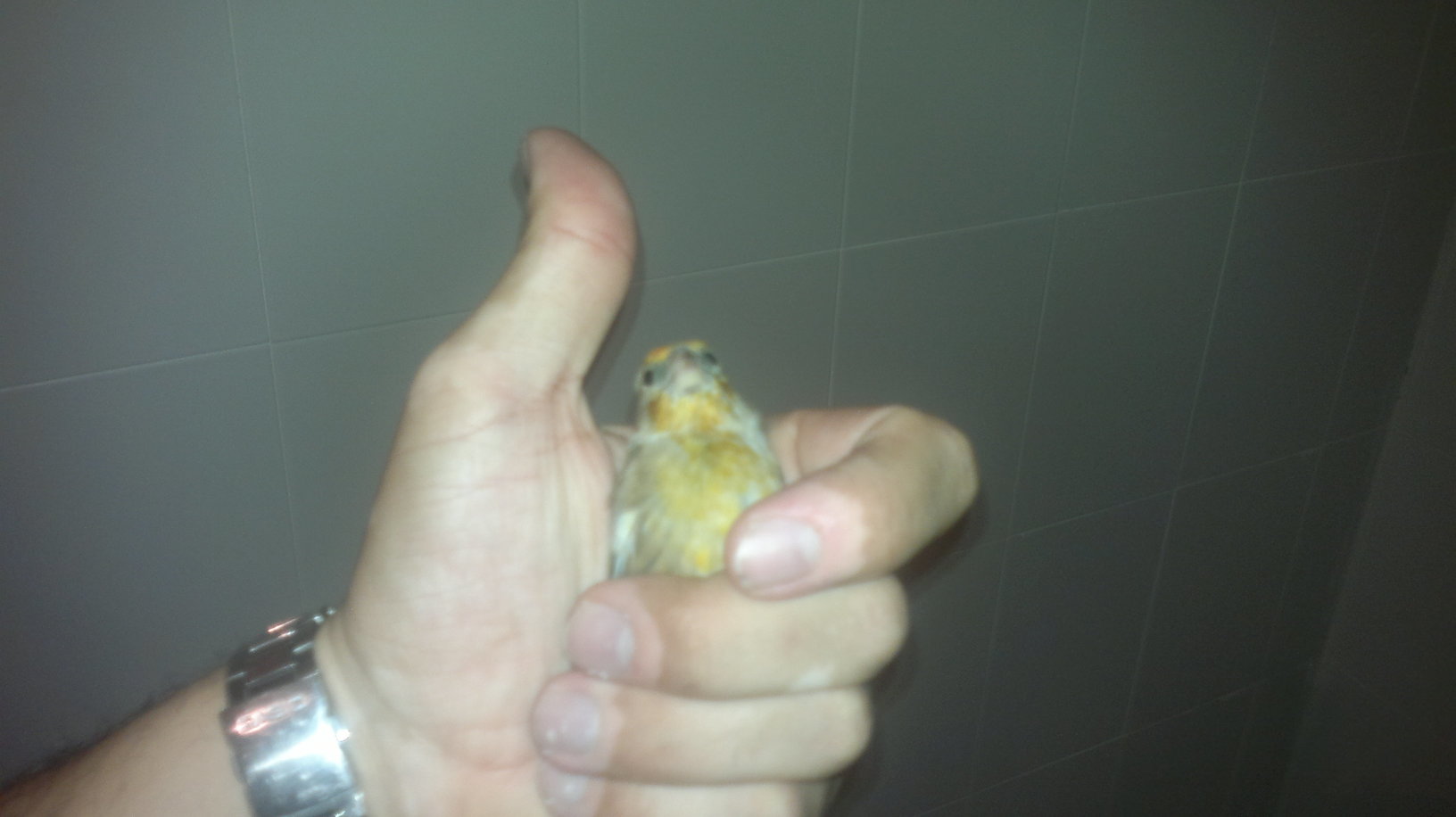 26092011012.jpg