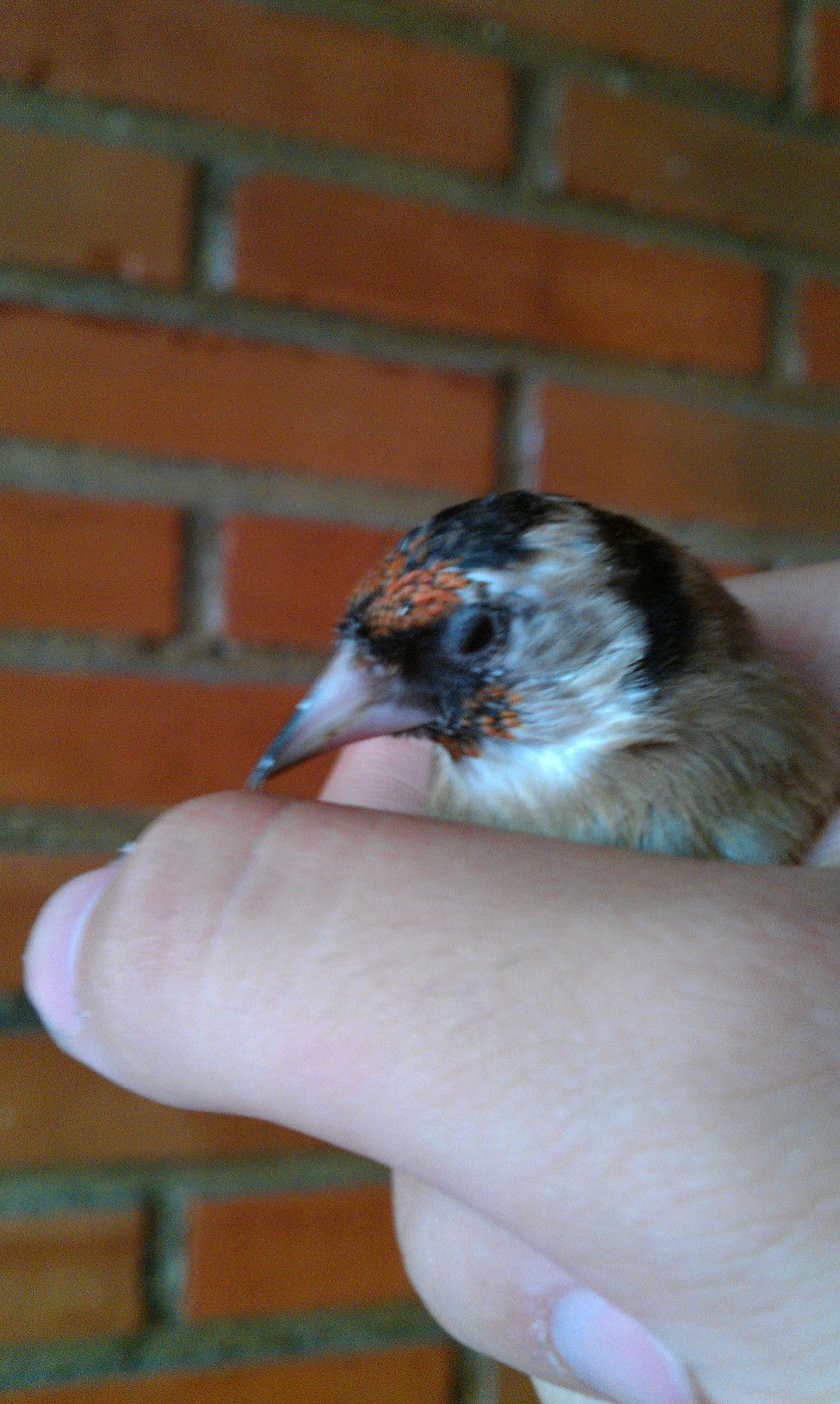 IMAG0019.jpg
