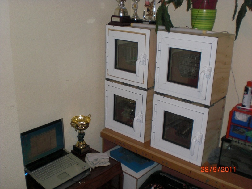 CIMG4048.JPG