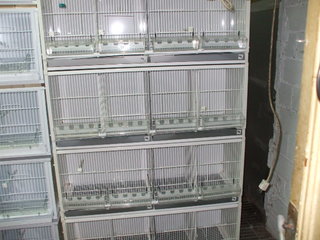DSCF2475.JPG
