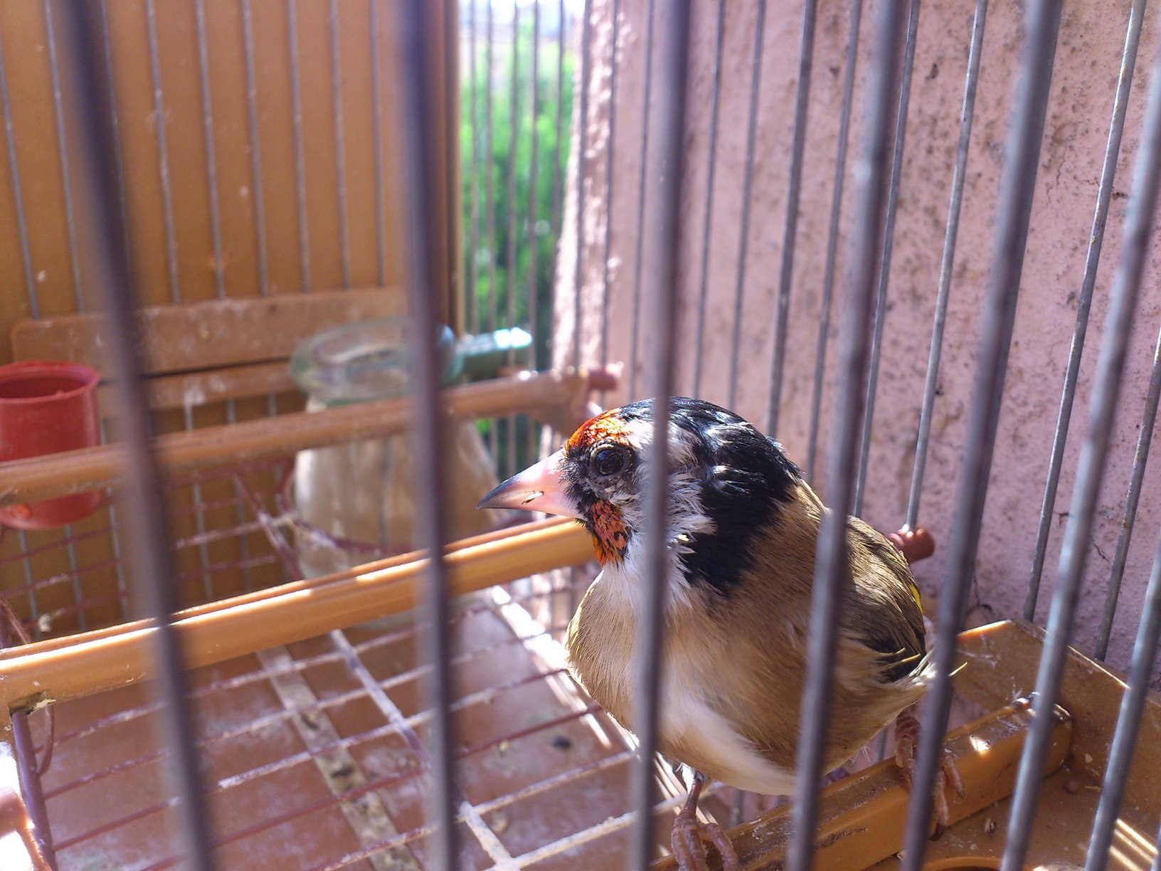 DSC_0066.jpg