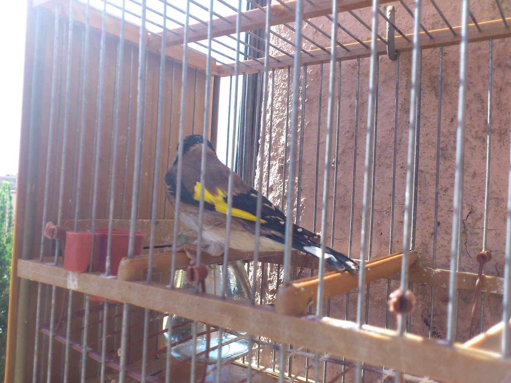 DSC_0067.jpg