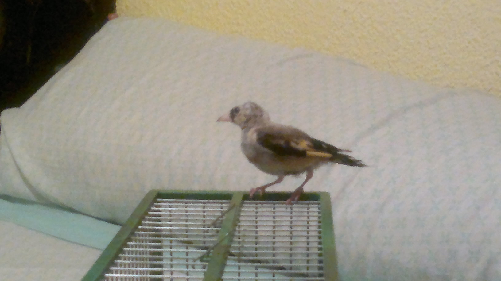 09102011319.jpg