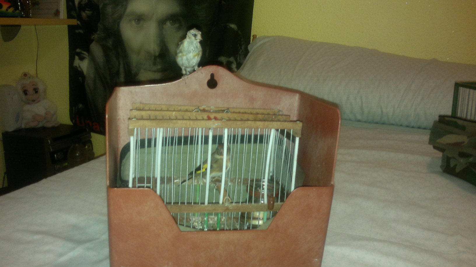 09102011325.jpg