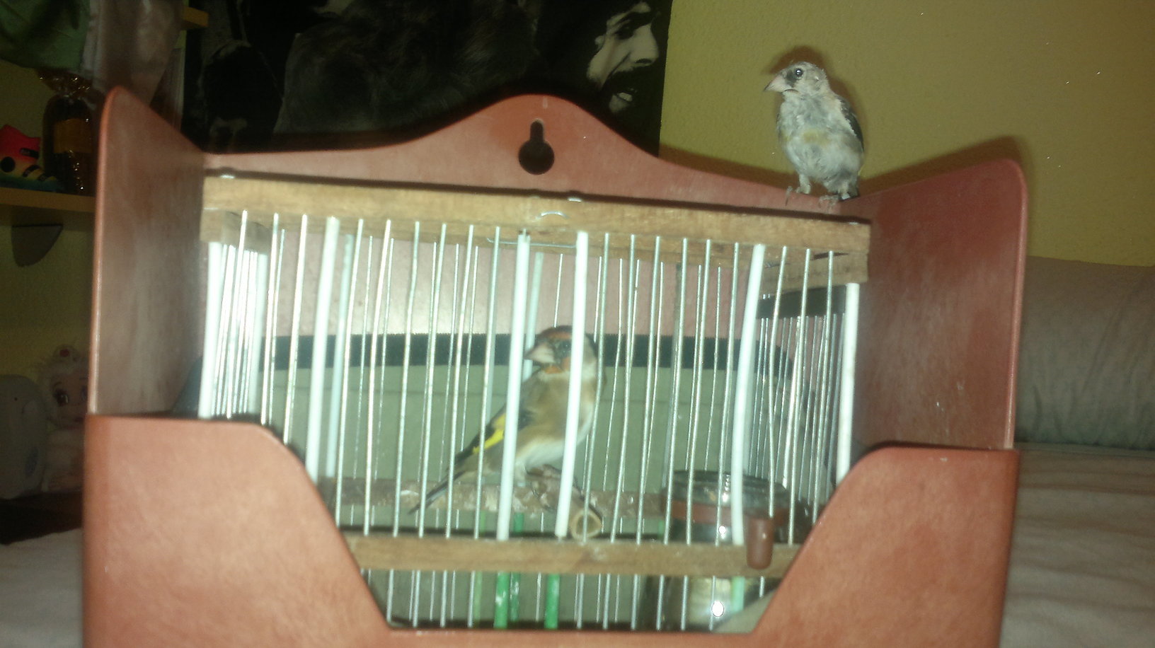 09102011327.jpg