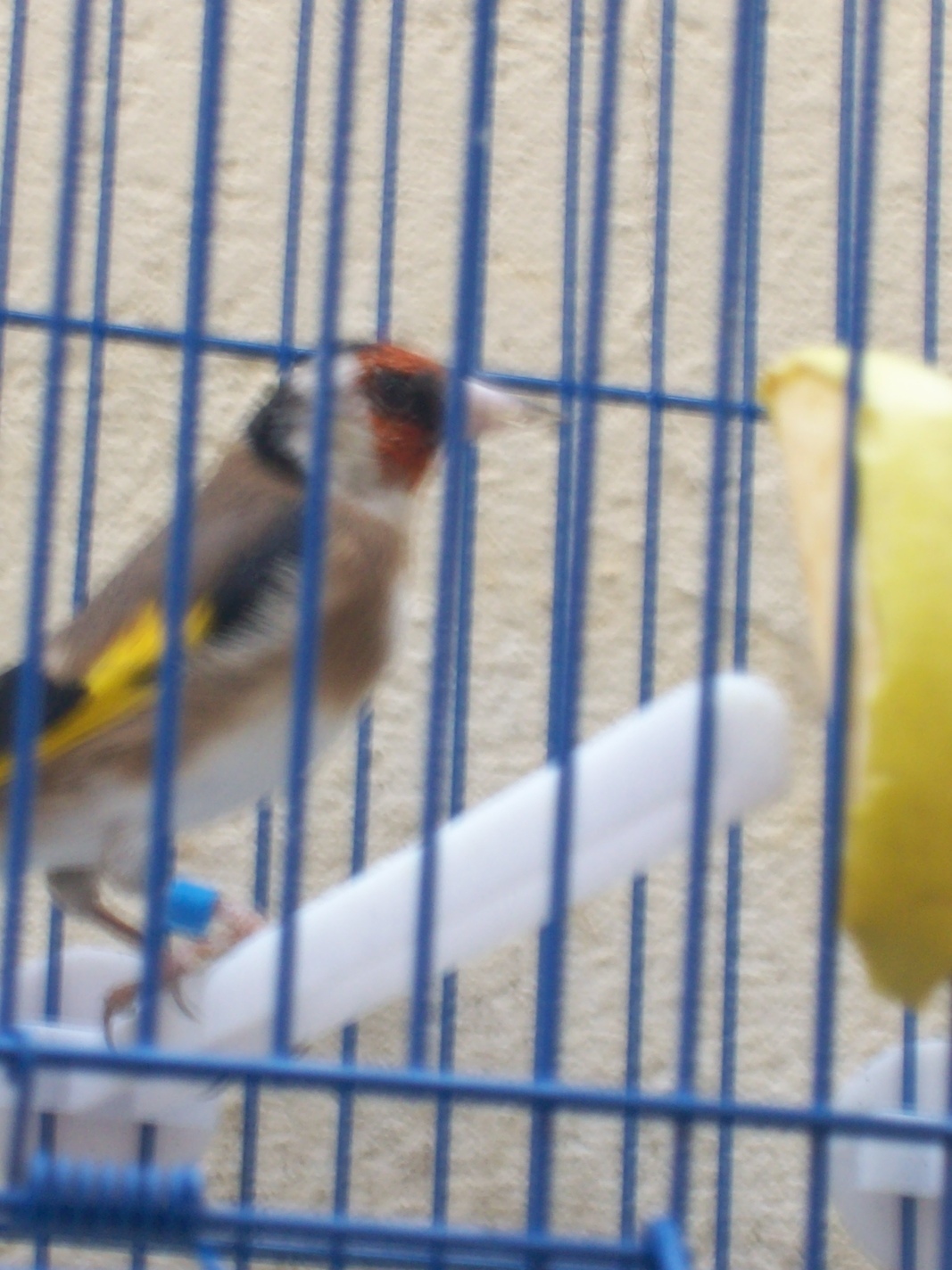 100_7489.JPG