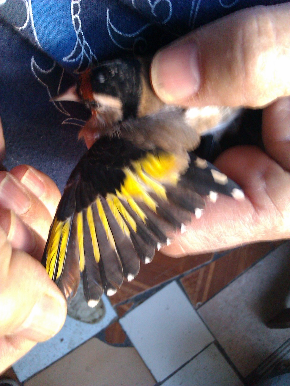 IMAG0067.jpg