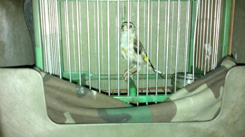 01102011301.jpg