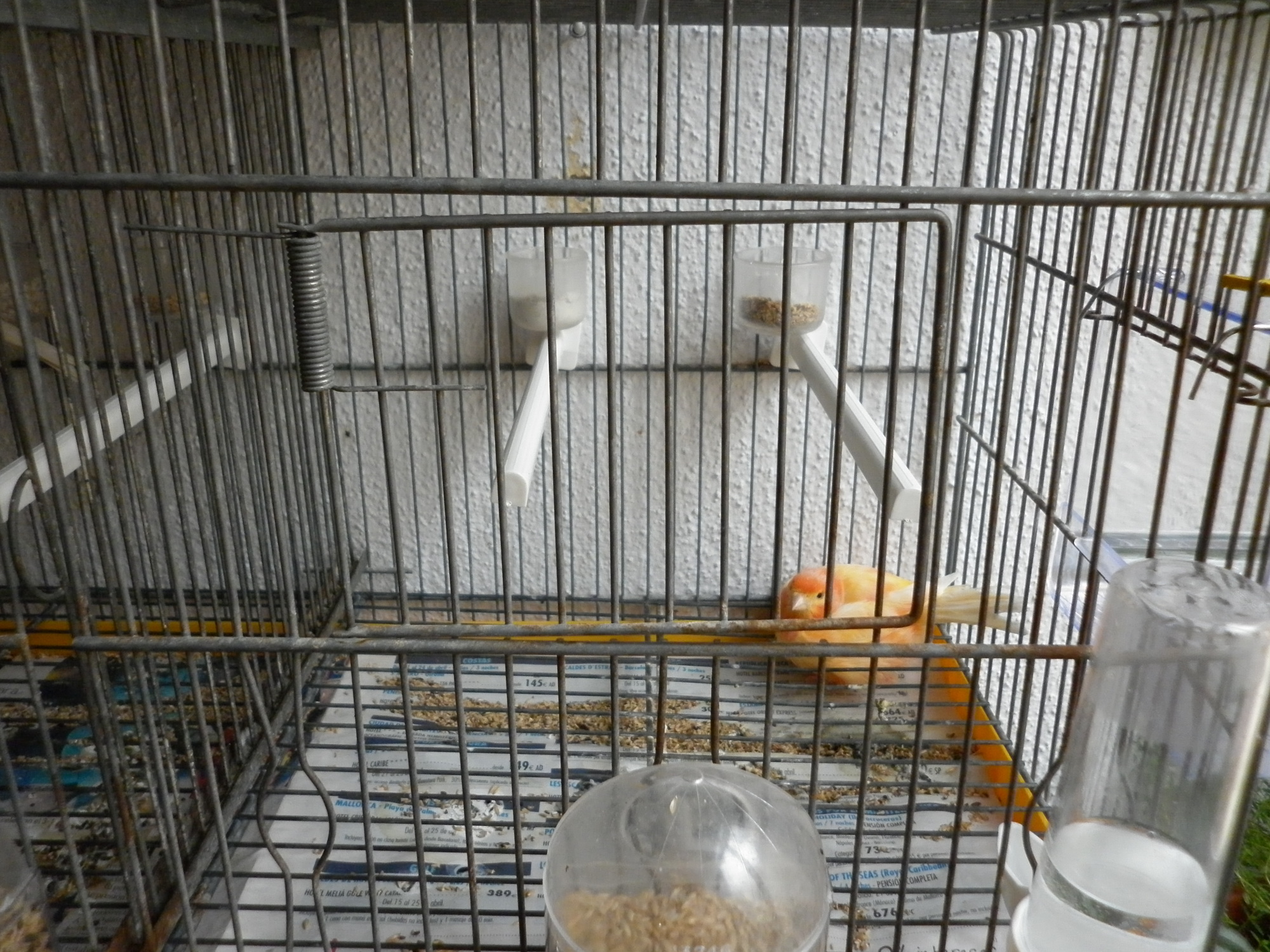 P1000475.JPG