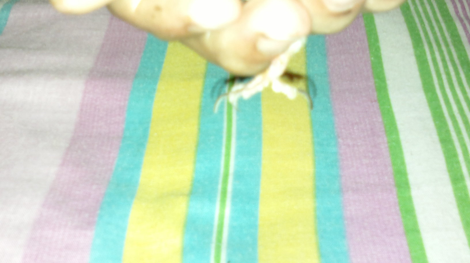 18102011396.jpg