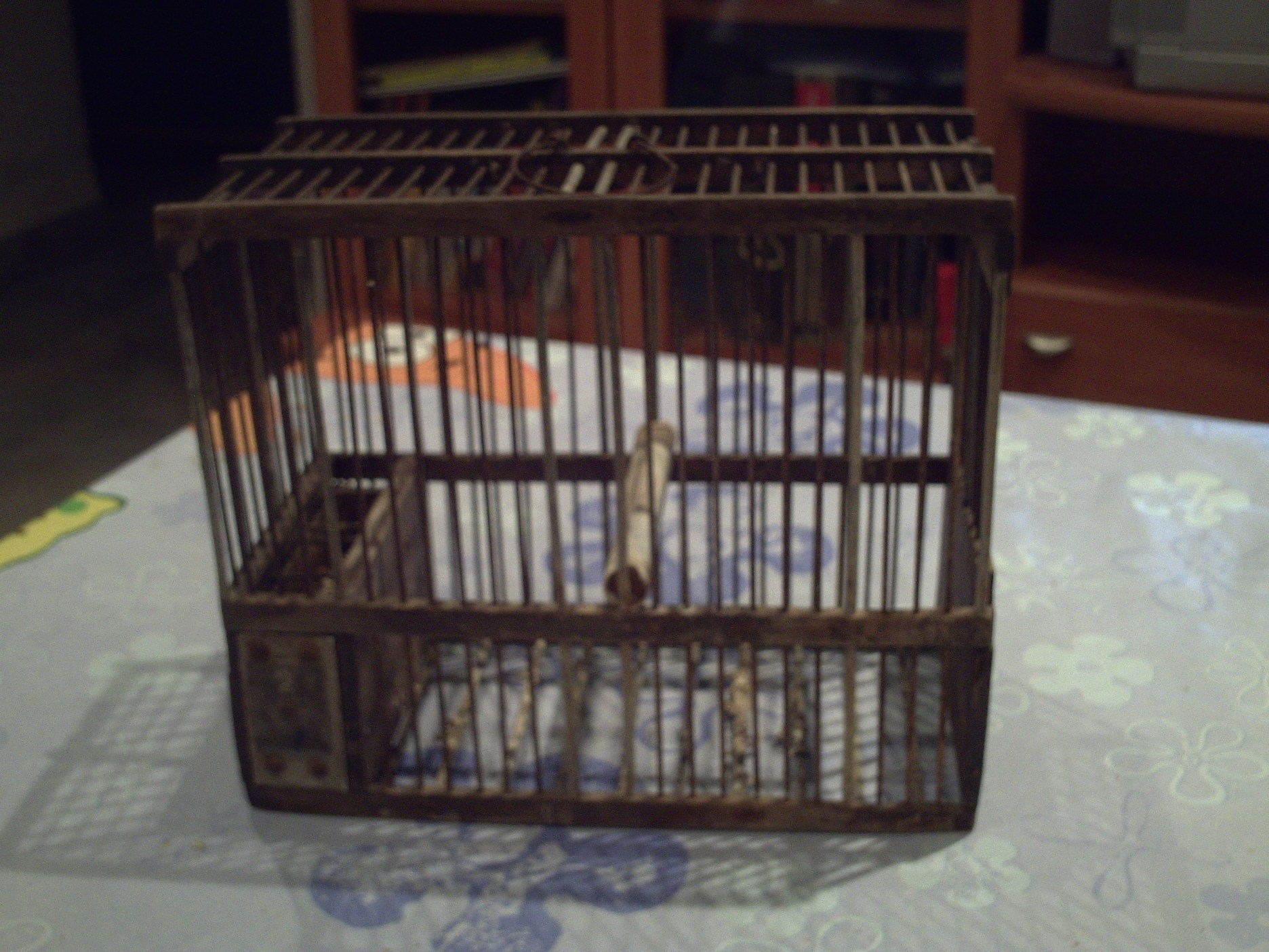 PICT0010.JPG