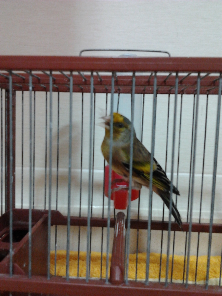 2011-10-22 19.33.54.jpg