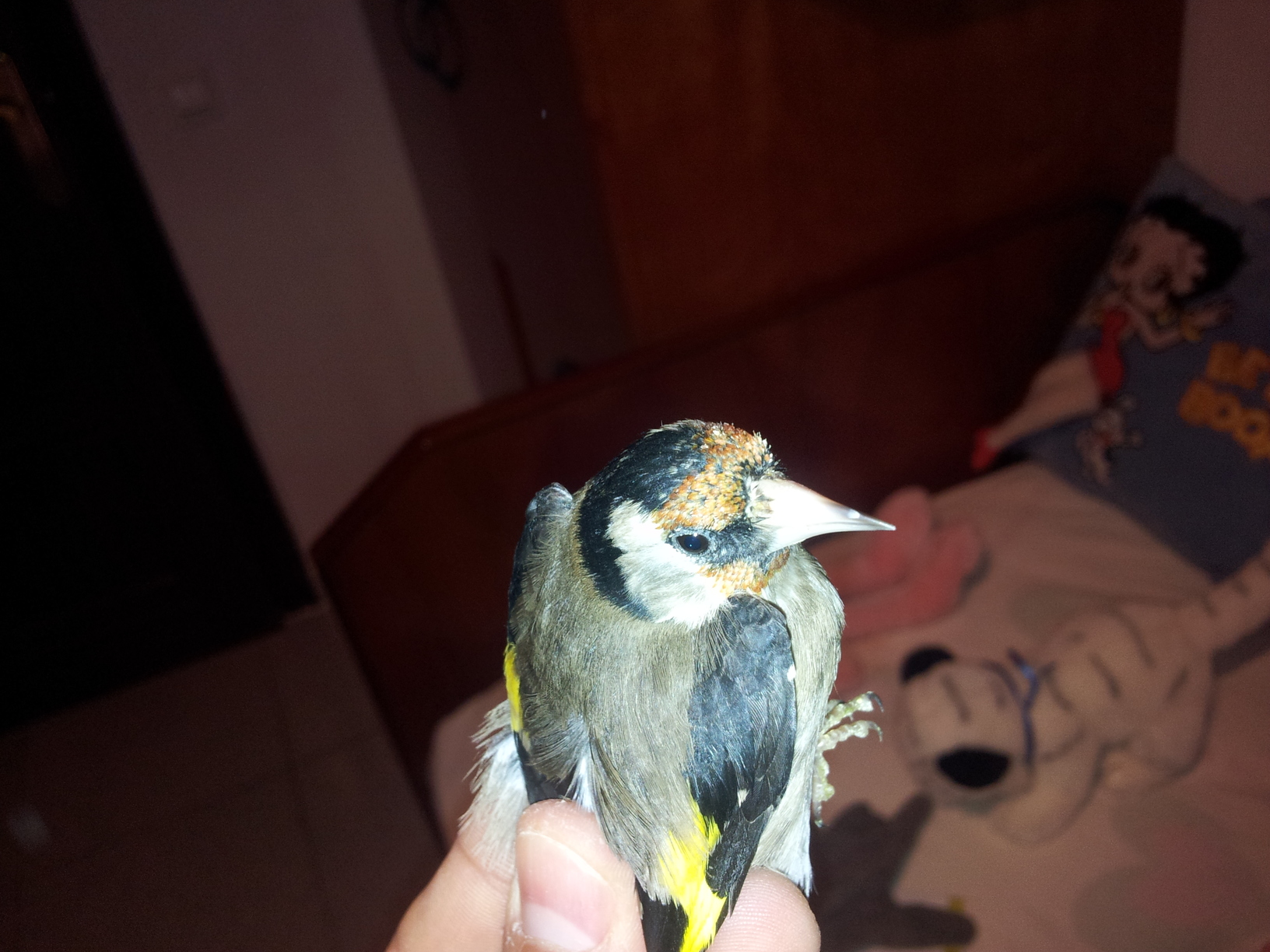 2011-10-22 13.38.35.jpg