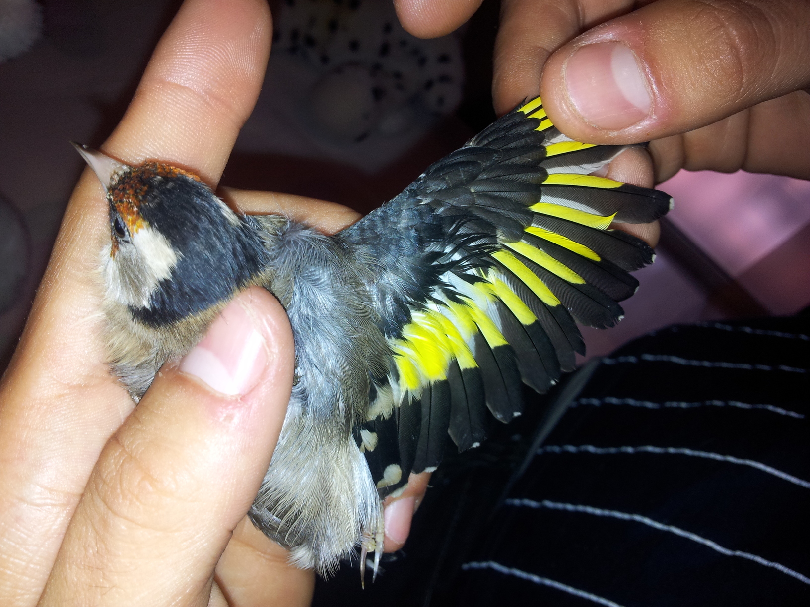 2011-10-24 12.30.25.jpg