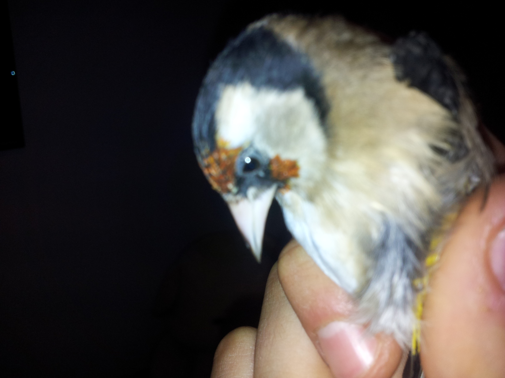 2011-10-24 12.31.06.jpg