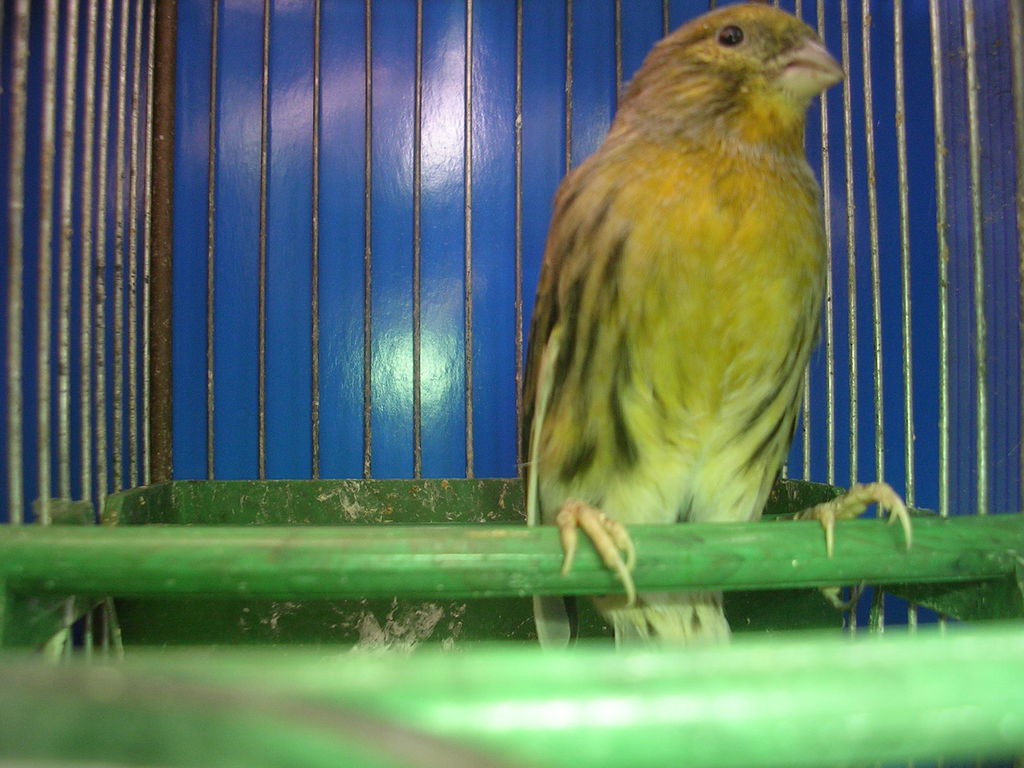 DSCN4105.JPG