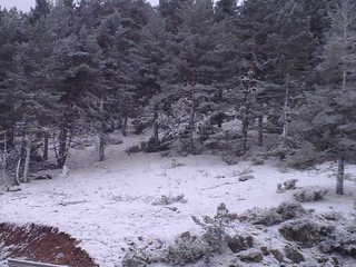 25102011458.jpg