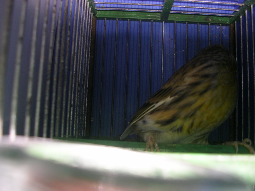 DSCN4099.JPG