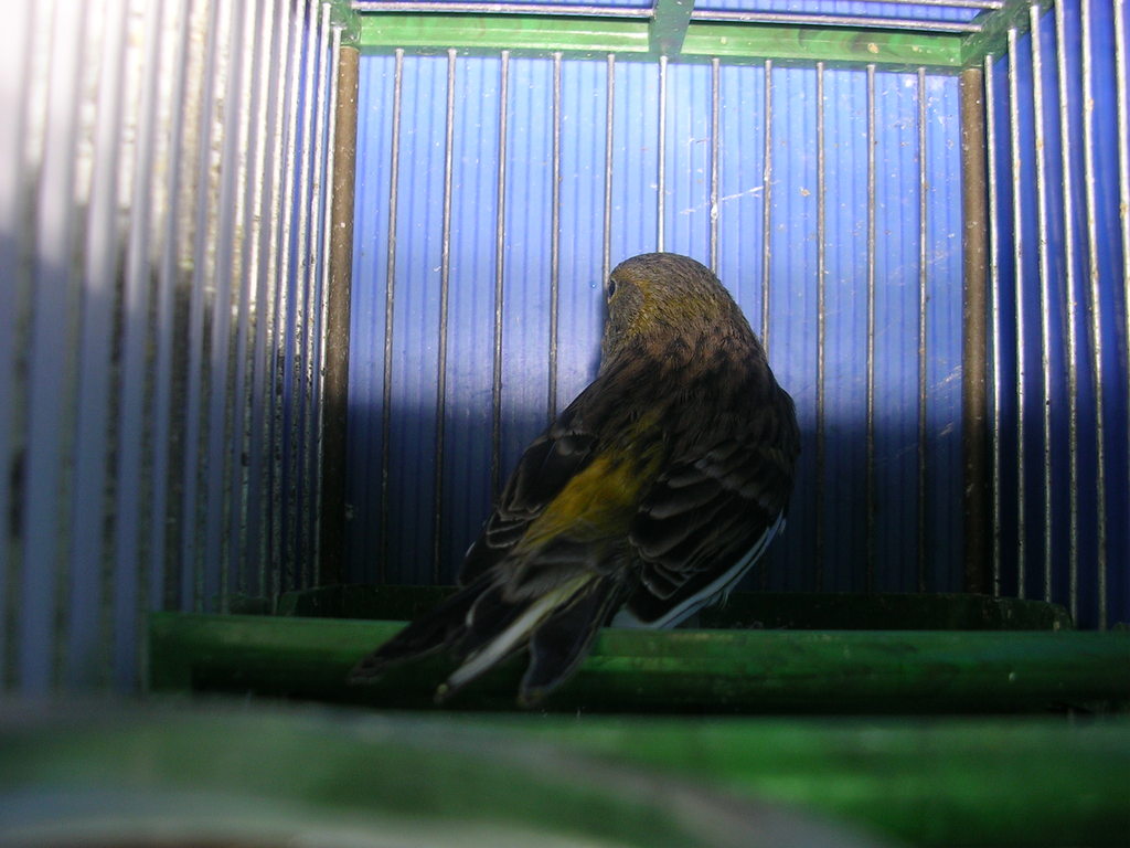 DSCN4098.JPG