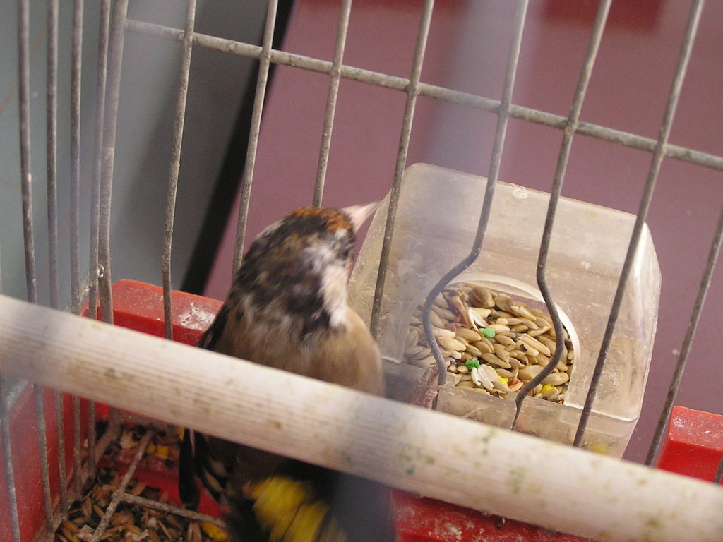 P1010441.JPG