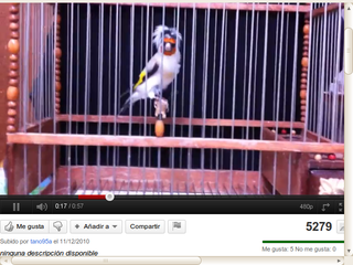 Pantallazo.png