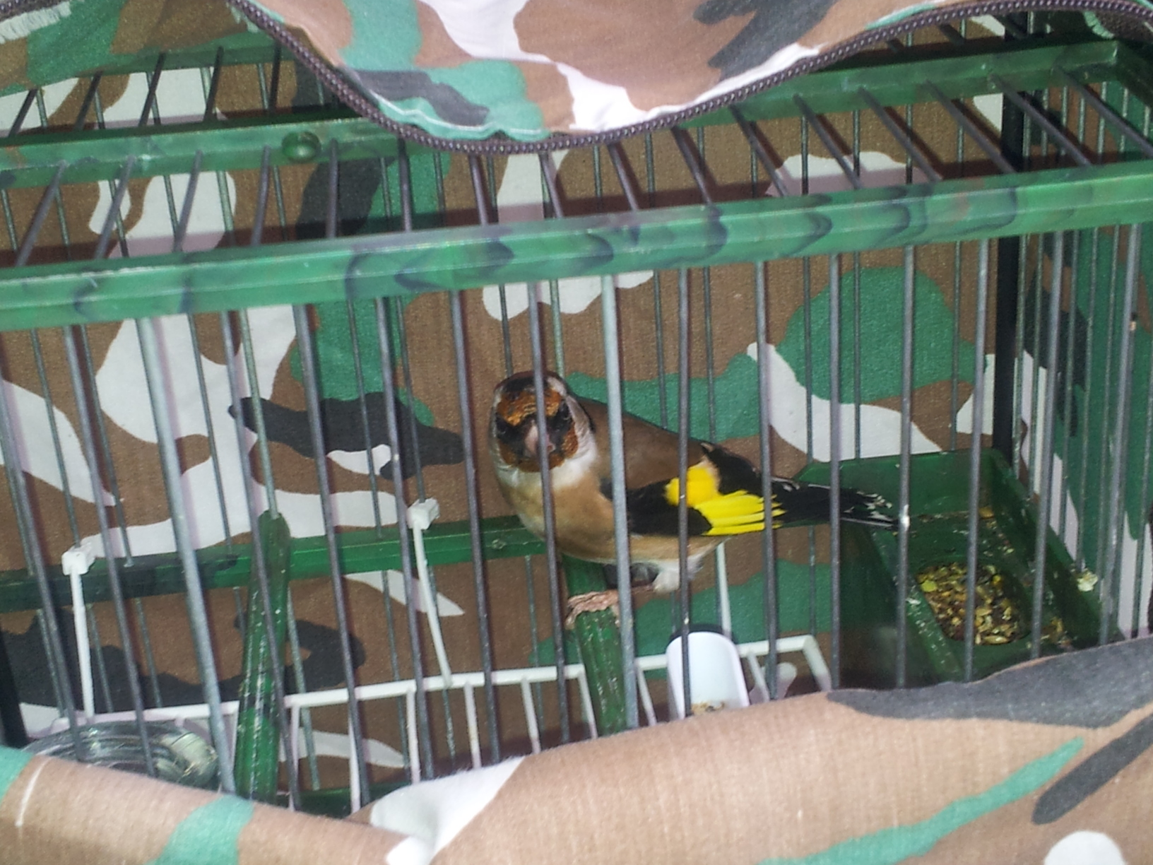 2011-11-04 12.18.37.jpg
