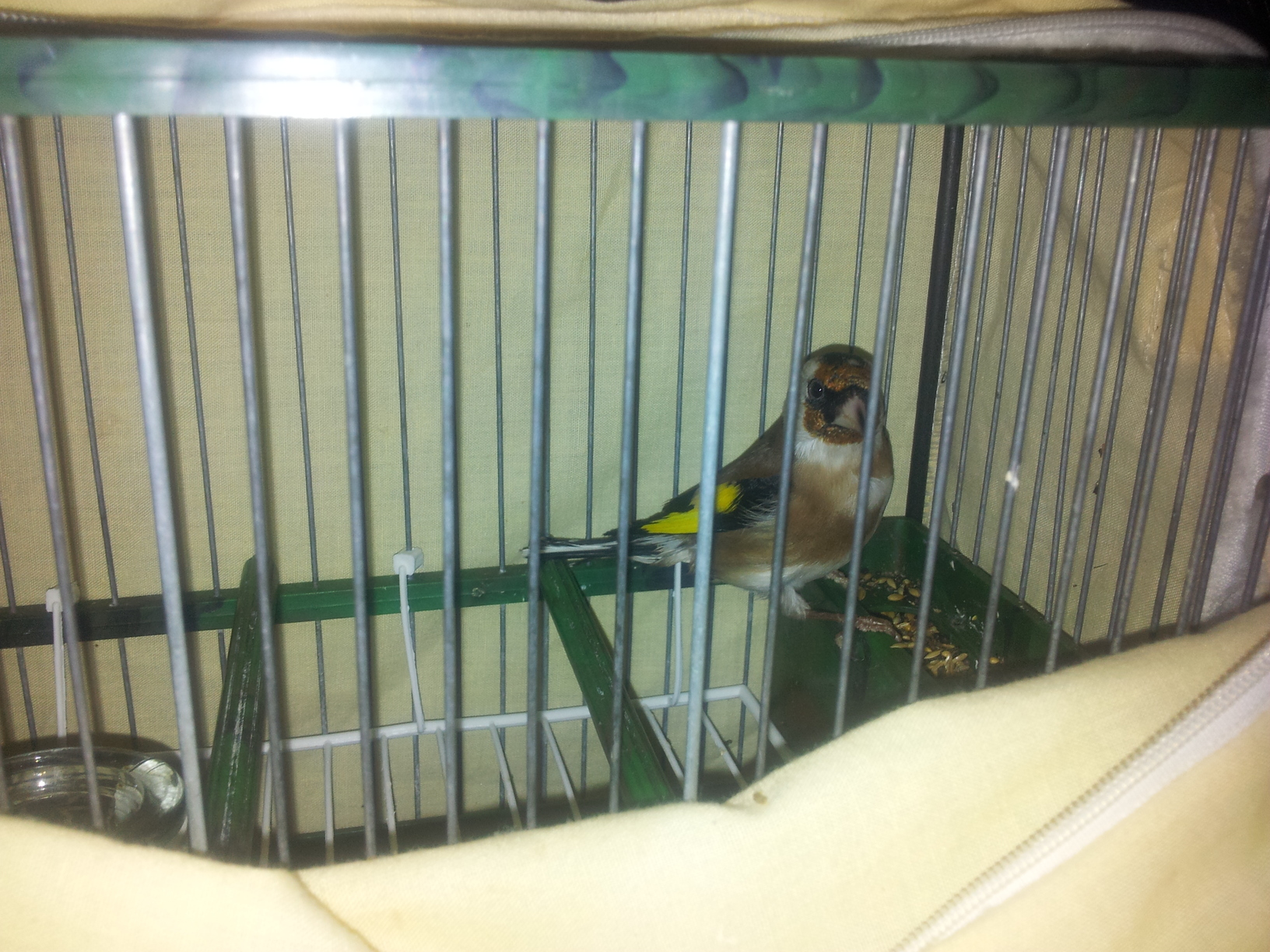 2011-11-02 01.45.42.jpg